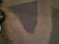 Dirty-Carpet-Wadsworth-Ohio